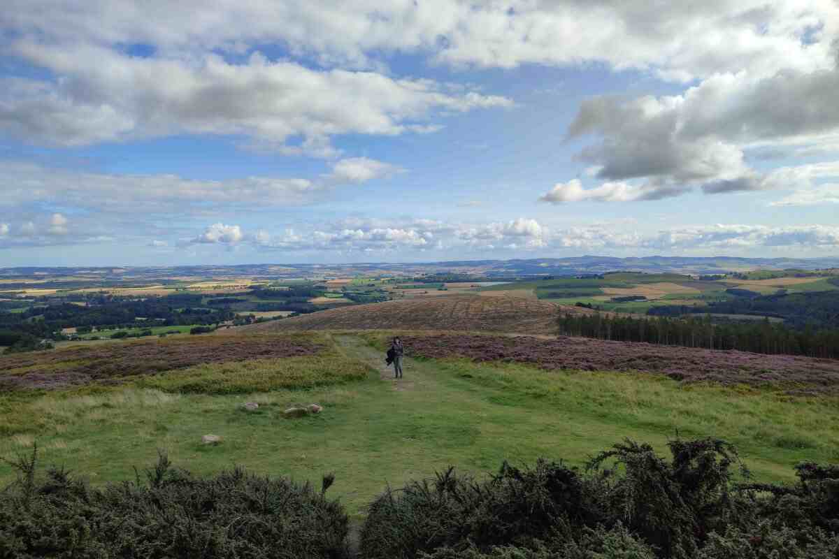 Airlie Monument : image 5