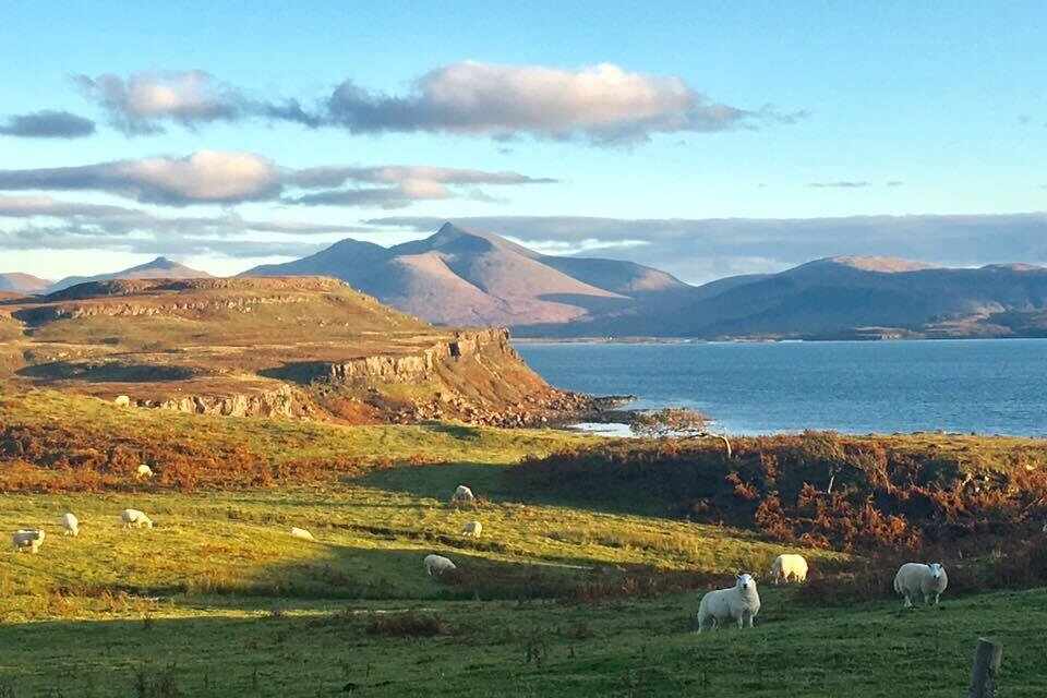 Orthodox Monastery of All Celtic Saints : image 3