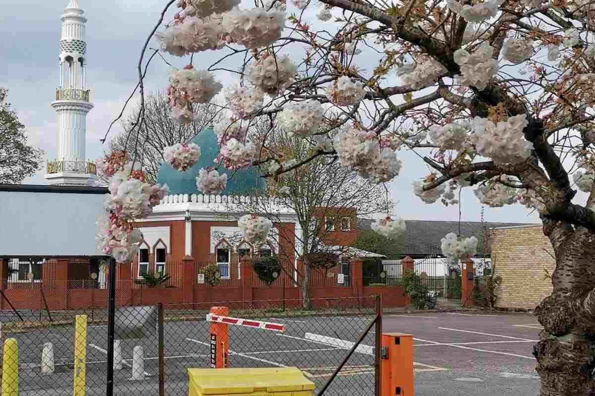 Maidenhead Mosque : image 6