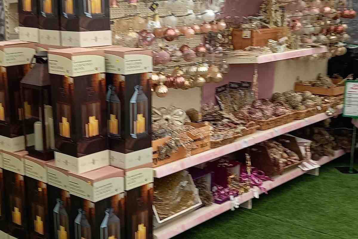 East Durham Garden Centre : image 4