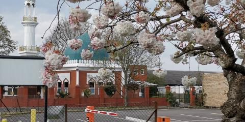 Maidenhead Mosque : image 6