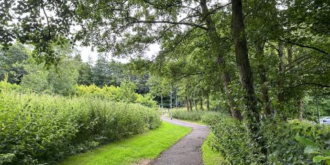 Islamic Prayer Room (with Jummah) • Durham University : image 6