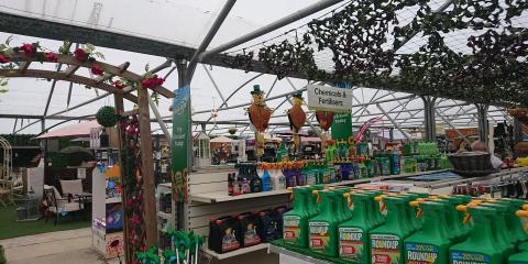 East Durham Garden Centre : image 6